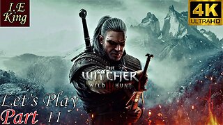 The Witcher 3 Wild Hunt Let's Play Pt 11 No Commentary