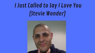 I Just Called to Say I Love You (Stevie Wonder)