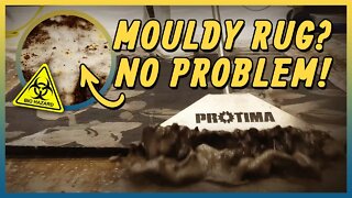 Mouldy Hazardous Carpet Cleaning | ASMR Satisfying Rug Cleaning