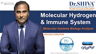 4 Ways How Molecular Hydrogen Affects the Immune System