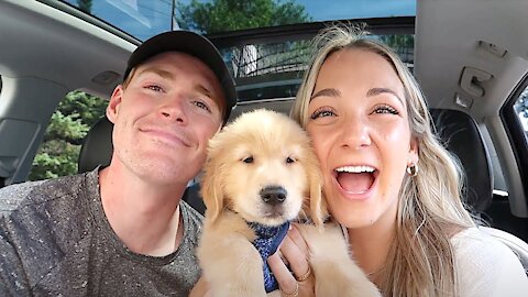 We Got A Puppy!!! 🐾😍 | Bringing Home Our 8 Week Old Golden Retriever