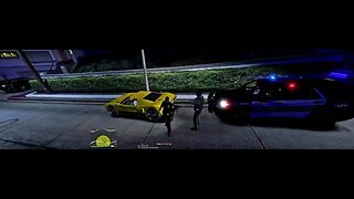 LSPDFR PATROL....NOTHING BUT MADNESS!!!!!