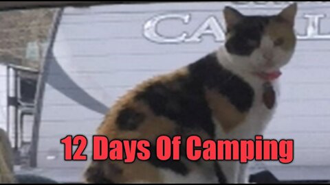 12 days of Camping - Christmas Special