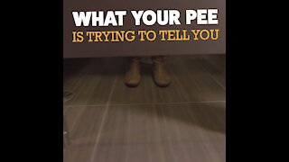 What Your Pee Is Trying To Tell You [GMG Originals]