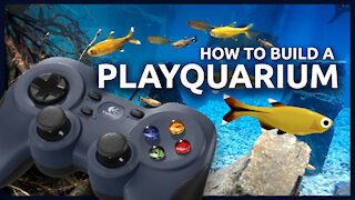 How to build an interactive Aquarium