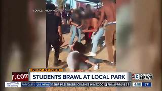 Video shows group of teens fighting in park