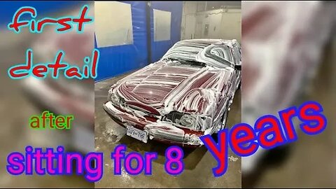 Detailing a barn find mustang after 8 years | MUST WATCH