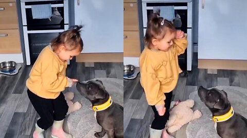 THIS LITTLE GIRL SINGING TO HER PUPPY💗