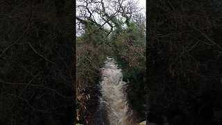 Shipley Bridge. Avon River. Dartmoor. GoPro 23rd March 2023