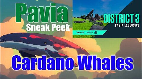 Cardano Whales And Pavia Metaverse Releases Sneak Peek Of District 3