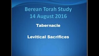Tabernacle Levitical Sacrifices