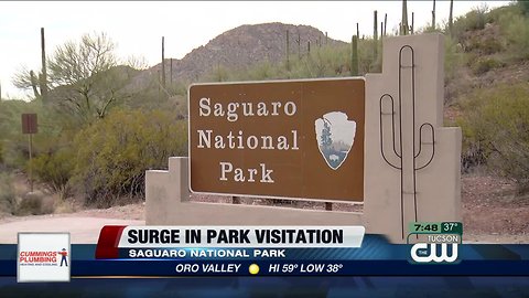 Saguaro National Park experiencing surge in visitors