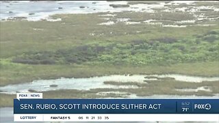 Florida leaders introduce the Slither Act bill