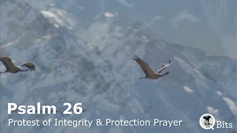 PSALM 026 // PROTESTATION OF INTEGRITY AND PRAYER FOR PROTECTION