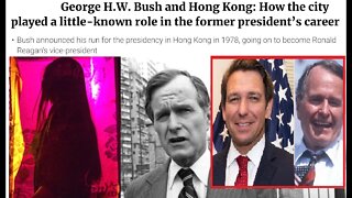 Little RON SNOW of Hong Kong. Baby DeSantis, Hunter W. Bush and the Bush World revenge on TRUMPMAGA