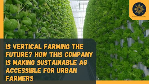 Is Vertical Farming the Future? This Company is Making Sustainable Ag Accessible for Urban Farmers