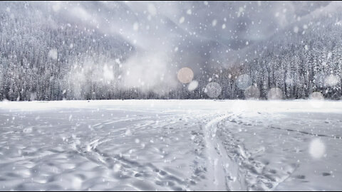 Blizzard Snowstorm & Arctic Howling Wind Sounds for Sleeping, Relaxing, Winter Ambience