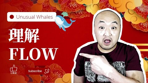 🌊如何解读Unusual Whales的订单流Flow? |快速看懂 Unusual Whales的Flow|期权交易流 | 期权flow