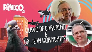 Olavo de Carvalho e Dr. Jean Gorinchteyn | PÂNICO - AO VIVO - 20/03/20