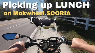 Lunch on my Mokwheel Scoria Ebike 🐄