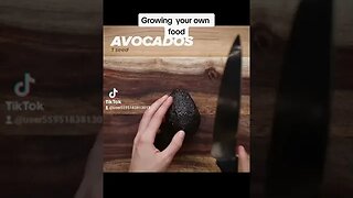 Growing your own food