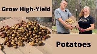 Grow High Yield Potatoes In Straw
