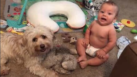 Bebê e cãozinho formam a amizade mais fofa que você ja viu