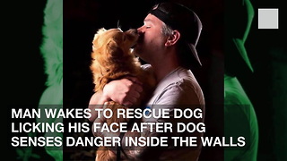 Man Wakes to Rescue Dog Licking His Face after Dog Senses Danger Inside the Walls