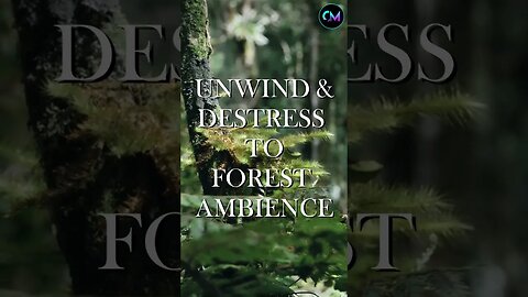 Forest Insects (Nature Audio) - Calming & Relaxing Ambience