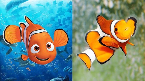 Finding Dory Characters In Real Life