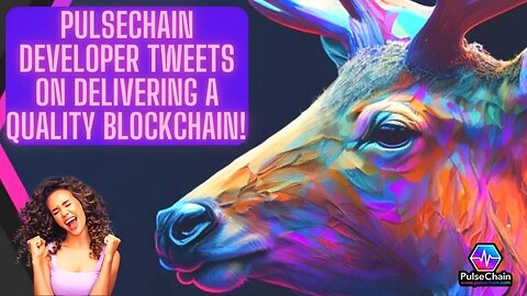 Pulsechain Developer Tweets On Delivering A Quality Blockchain!