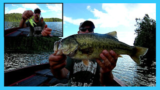 Big Bass on a Spinnerbait