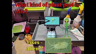 Plant Pests