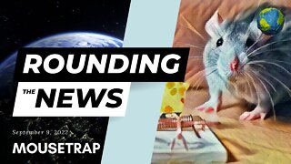 Mousetrap - Rounding the News