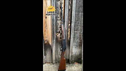 Henry Repeating Arms HO14-6.5