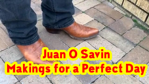 Juan O Savin - Makings for a Perfect Day