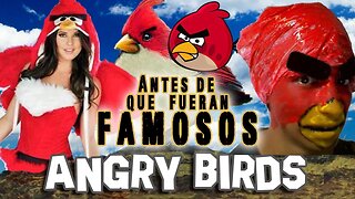 ANGRY BIRDS - Antes De Que Fueran Famosos