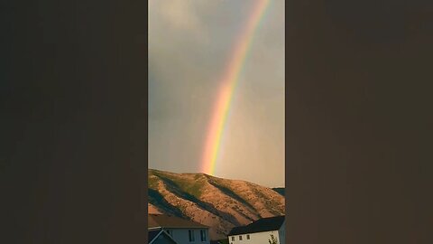 Barney Makes A Double Rainbow 🌈🤣 Welcome to the gayborhood! #shorts