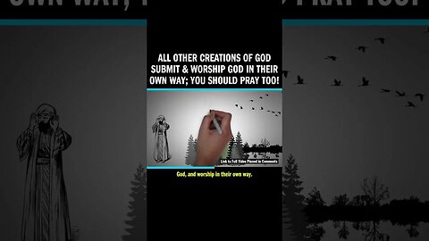 All Other Creations of God Submit & Worship God in Their Own Way; YOU Should Pray TOO!