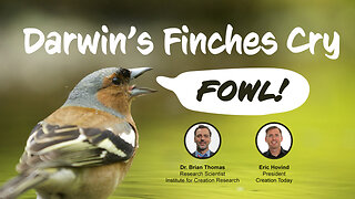 Darwin's Finches Cry Fowl | Eric Hovind & Dr. Brian Thomas | Creation Today Show #360