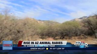 Arizona Health Officials Warn About Rise in Rabies