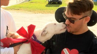 Young man meets new service dog