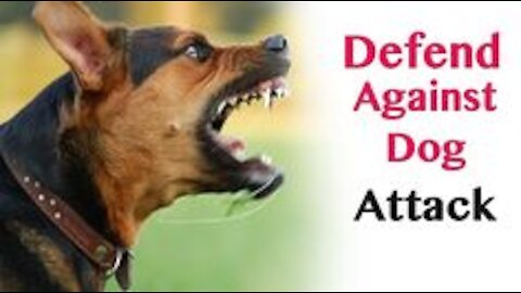 watch this video to know how to defend against a dog. Self defense against dog attack