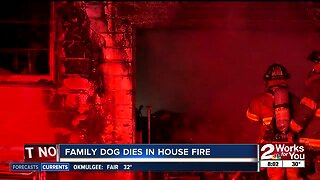 Family dog dies in house fire