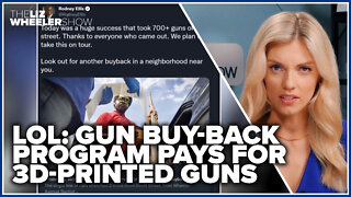 LOL: Gun buy-back program pays for 3D-printed guns