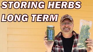Freeze Drying Herbs | Cilantro