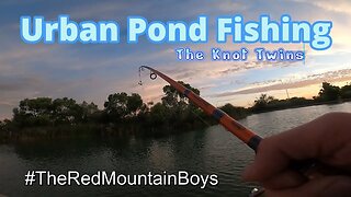 Urban Pond Fishing for Catfish & Carp!