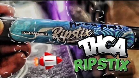 THCA RIPSTIX PREROLL ANIMAL MINTZ | bud.com