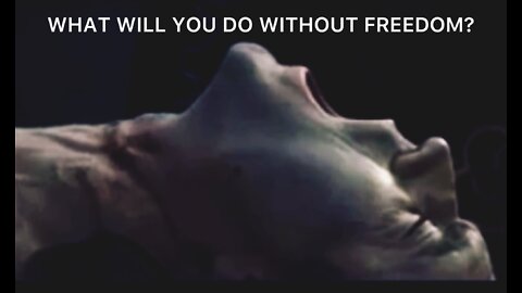 Braveheart (Speech) - What Will You Do Without Freedom?
