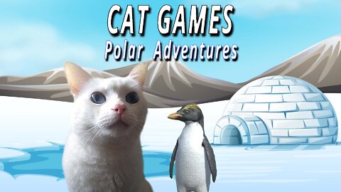 CAT GAMES: Polar Adventures!